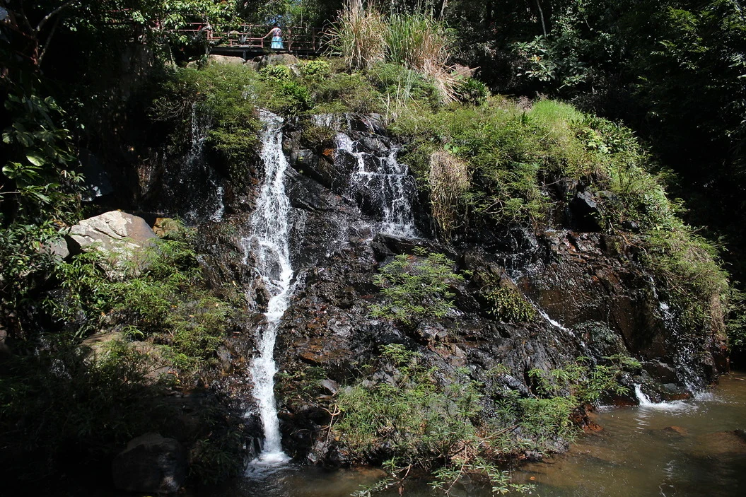 Water cascading over a rocky slope beside a footbridge in Yanoda rainforest