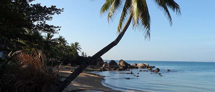 Palm-lined beach and coastal rocks at Tianya Haijiao