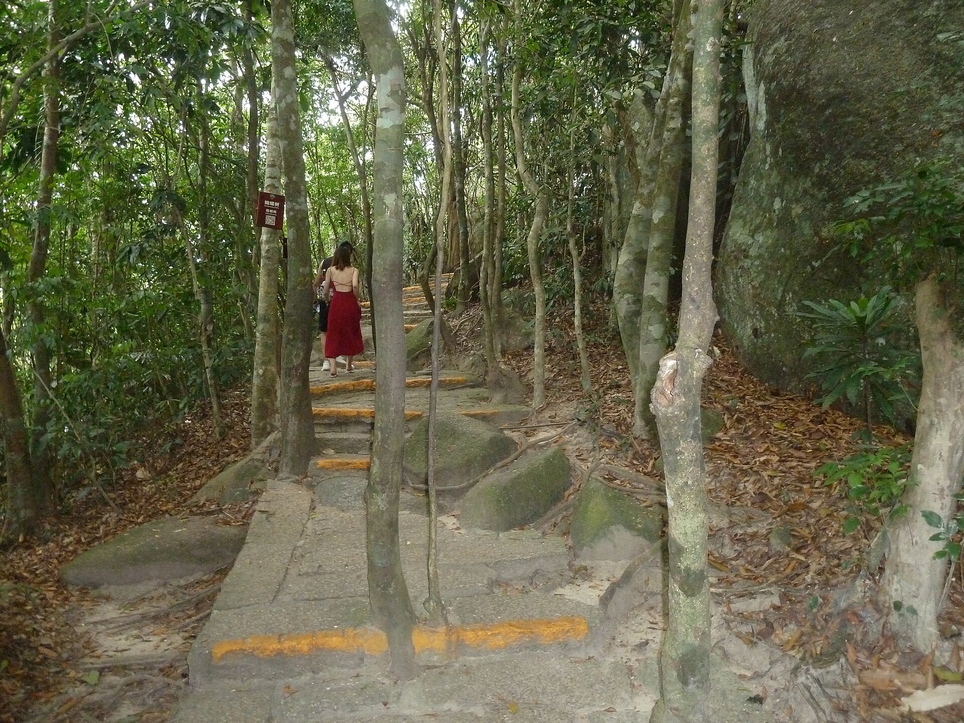 A walker climbing stone steps beneath dense forest canopy in Yalong Bay Tropical Paradise Forest Park