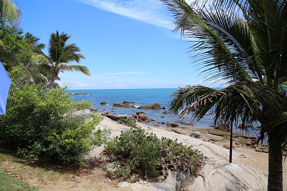 Palm trees and the rocky shoreline at Daxiao Dongtian